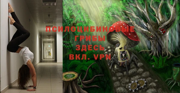 меф Заводоуковск
