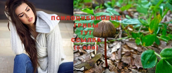 соль ск Заволжск