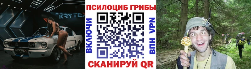 Купить где  Гатчина  Галлюциногенные грибы GOLDEN TEACHER 